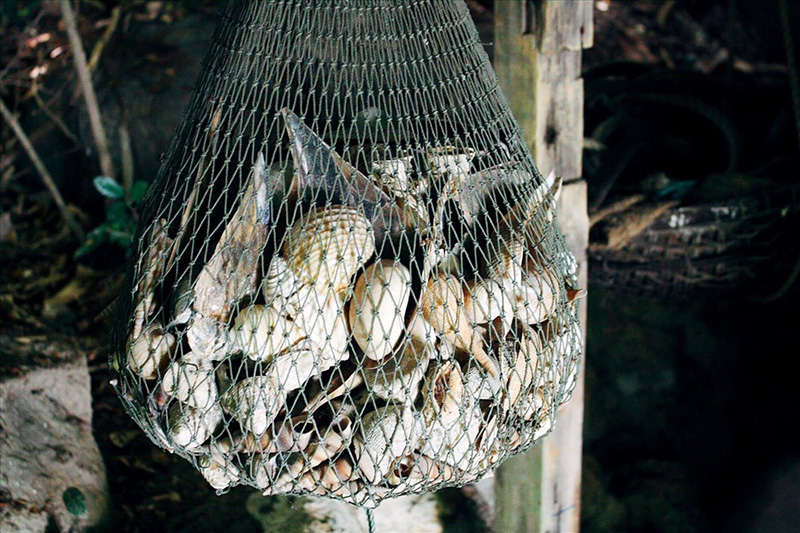 Chiếc lưới vỏ sò, vỏ ốc trưng bày ở bảo tàng Đồng ĐÌnh