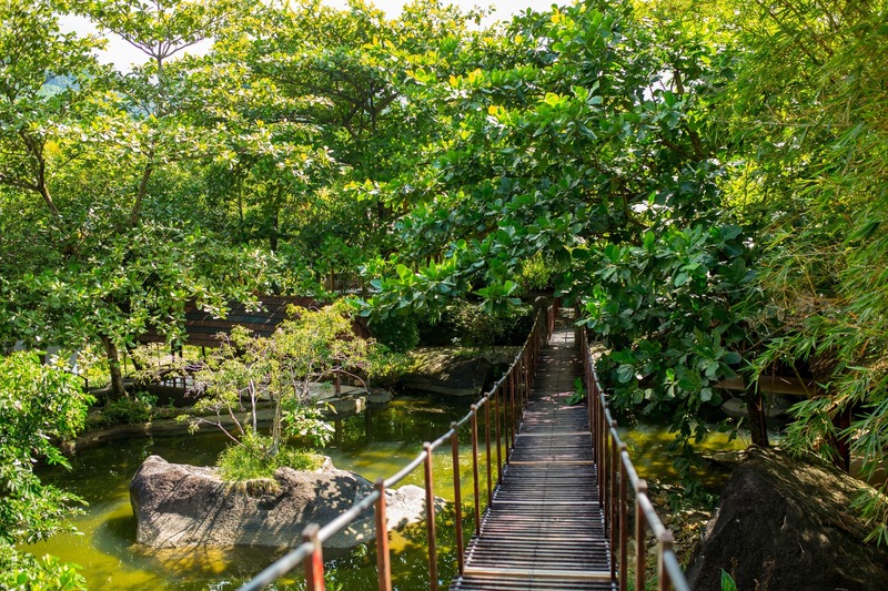 Chiếc cầu gỗ bắc ngang con suối là nơi du khách dừng chân thưởng lãm cảnh đẹp hoặc check-in sống ảo