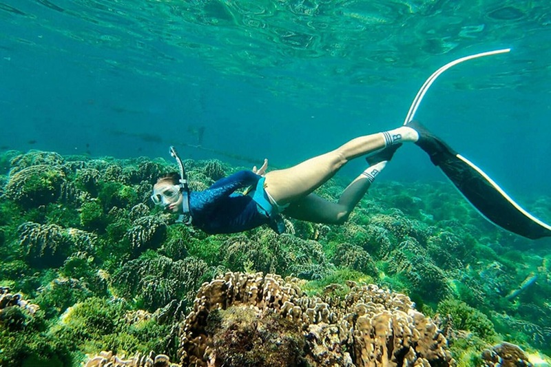 Thảm thực vật phong phú dưới đáy biển Mân Thái hứa hẹn sẽ mang đến cho bạn trải nghiệm tuyệt vời