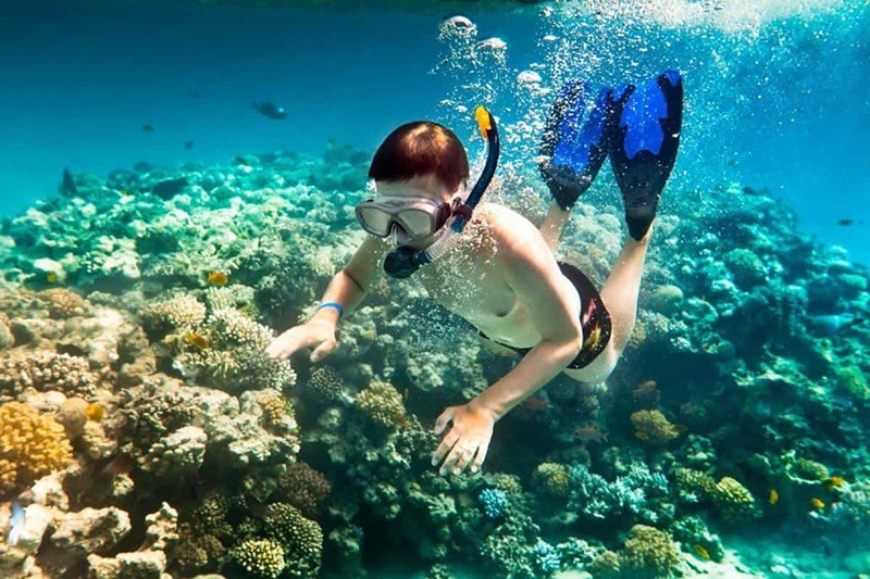 Bán đảo Sơn Trà sở hữu số lượng lớn những rạn san hô đầy màu sắc 
