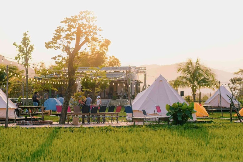 Khu cắm trại Hòa Bắc Ecolodge được bao quanh bởi cánh đồng lúa xanh mướt tạo cảm giác bình yên cho du khách khi tới đây nghỉ dưỡng, cắm trại (Nguồn: Hoà Bắc Ecolodge)